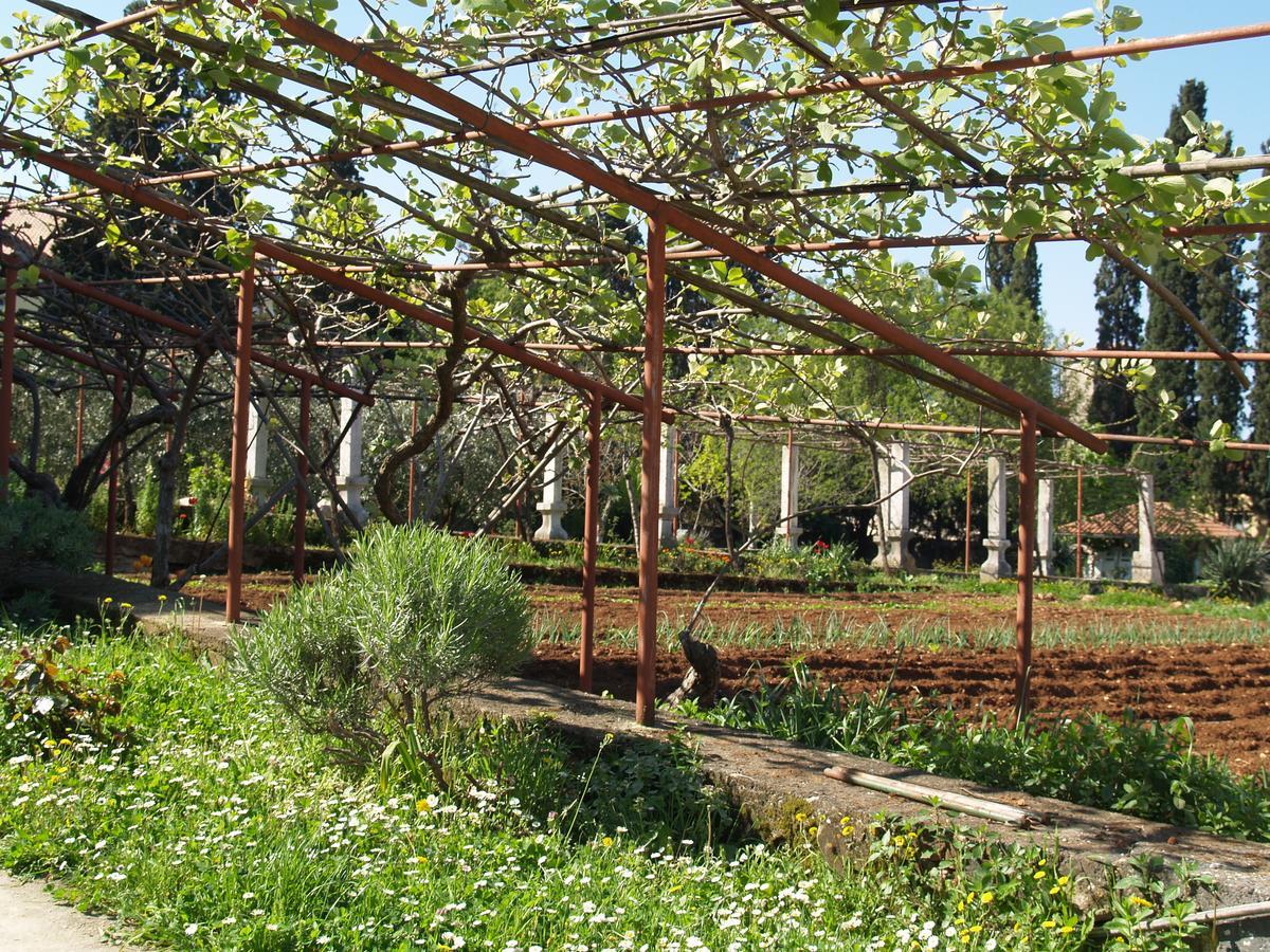 Villa Castrum Rovinj Exteriör bild